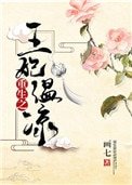 重生之王妃温涼