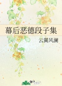 幕后恶德段子集