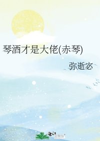 琴酒才是大佬(赤琴)